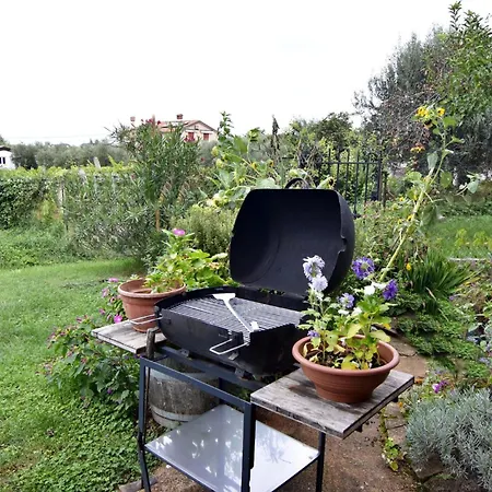 Modern With Shared Garden Near Umago شقة