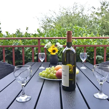 Modern With Shared Garden Near Umago