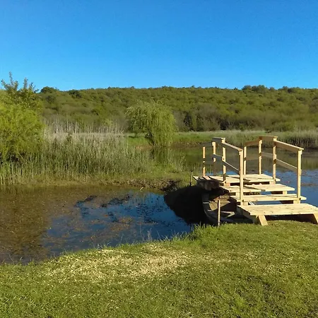 Modern With Shared Garden Near Umago Babici